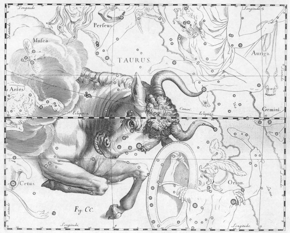 Taurus: The Sensual World & Waking Venus Within