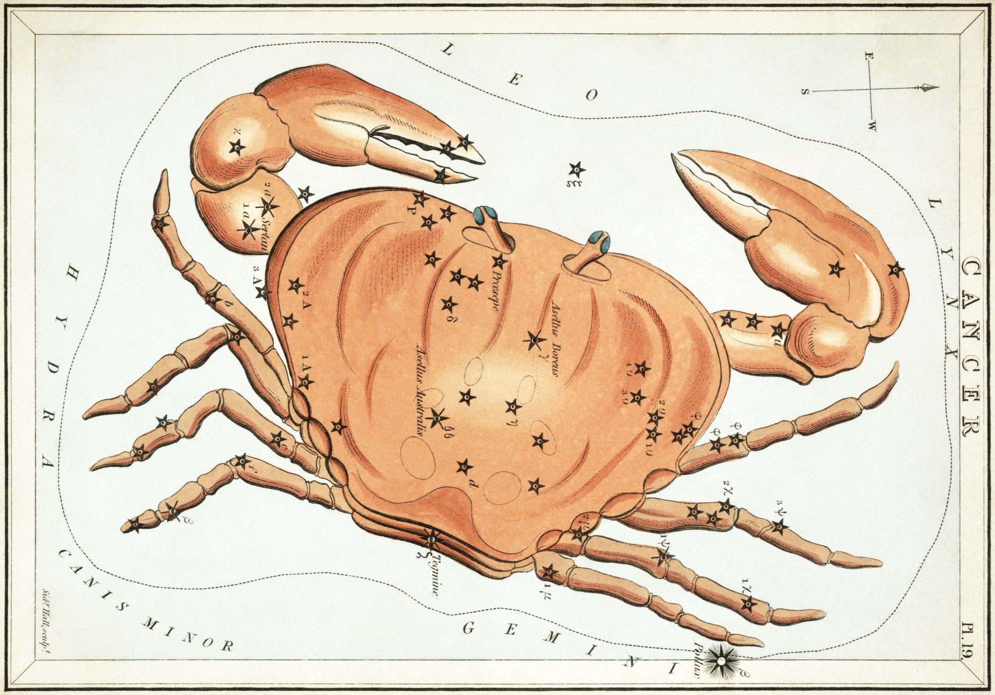 Waking the Unconscious: Karmic Imprints of Your Moon Sign