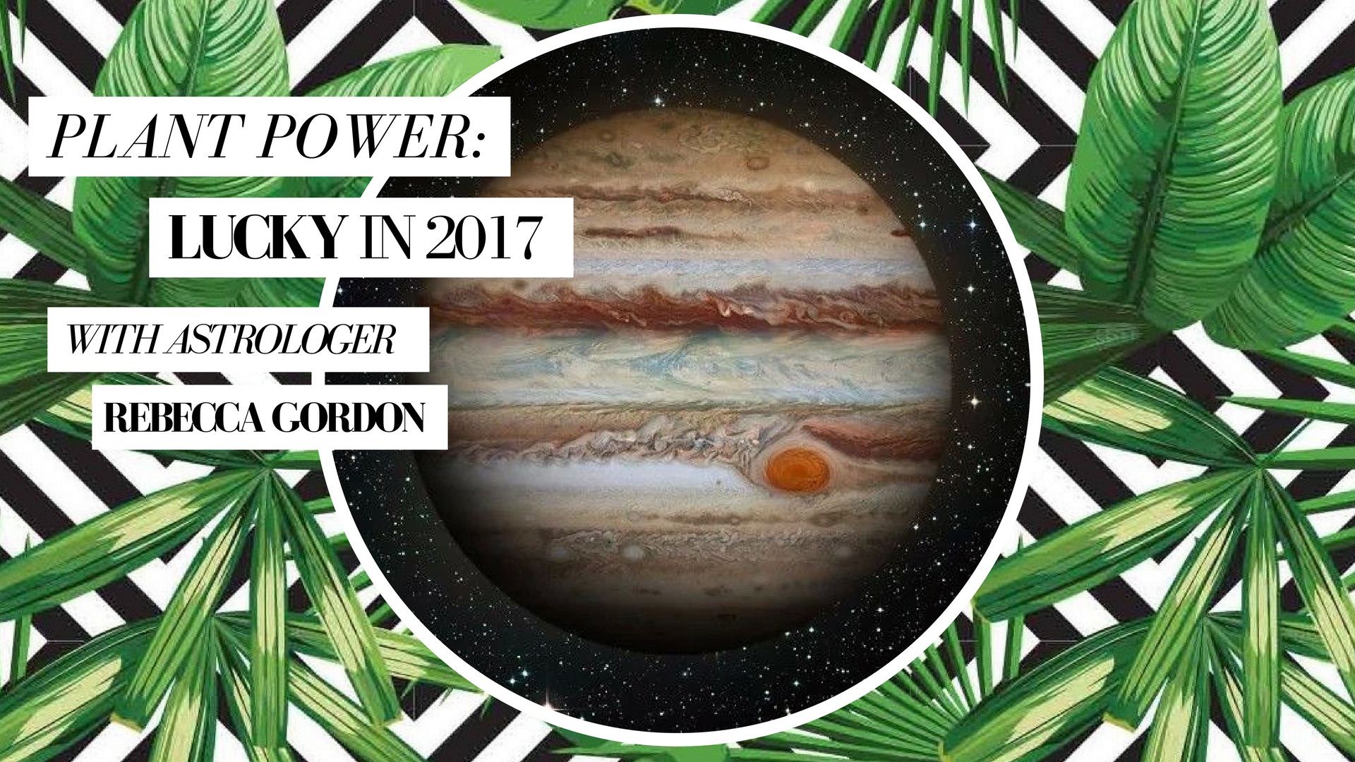 Plant Power: Lucky in 2017 [IPP]
