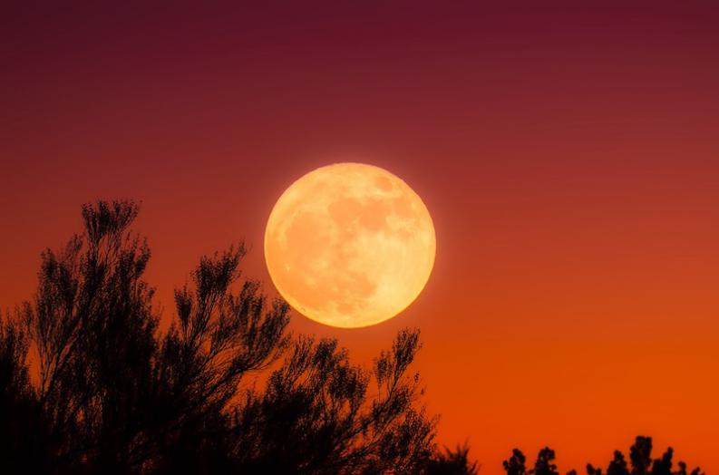 October Harvest Moon & What it Means for You [Vix]