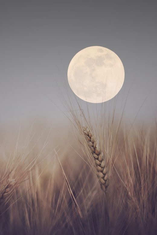 Full Moon in Aries